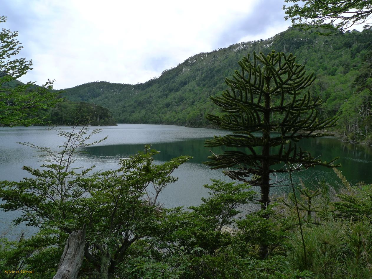 Chili Pucon Parc Huerquehue  101