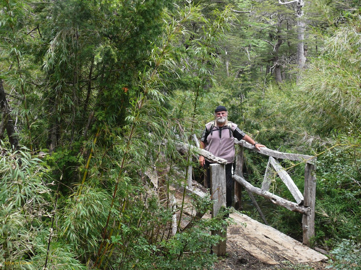 Chili Pucon Parc Huerquehue  102