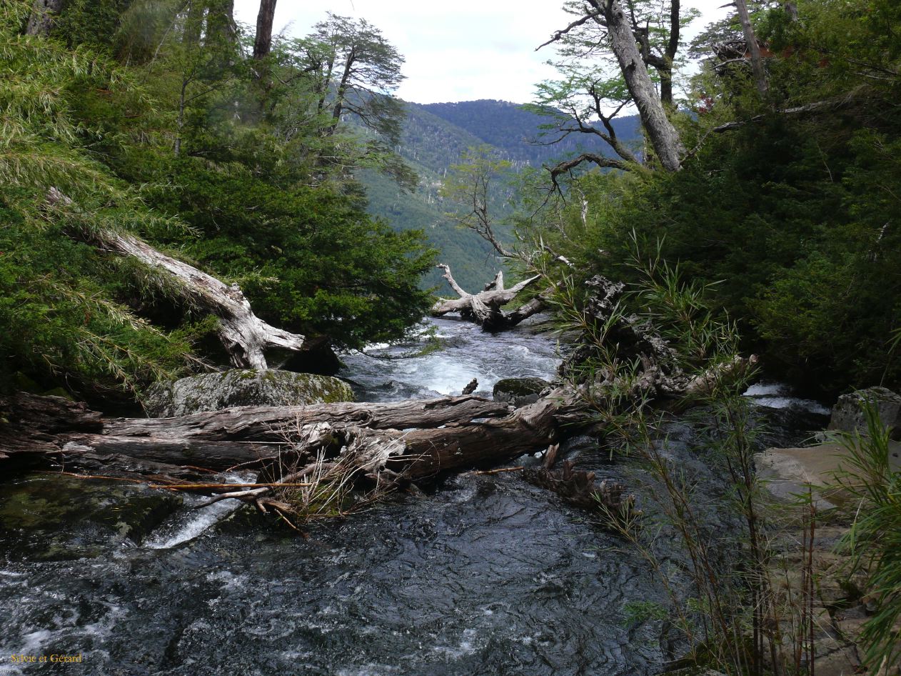 Chili Pucon Parc Huerquehue  103