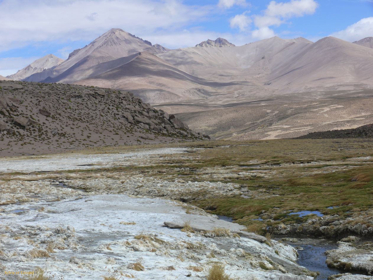 Chili Arica Parc Lauca  105