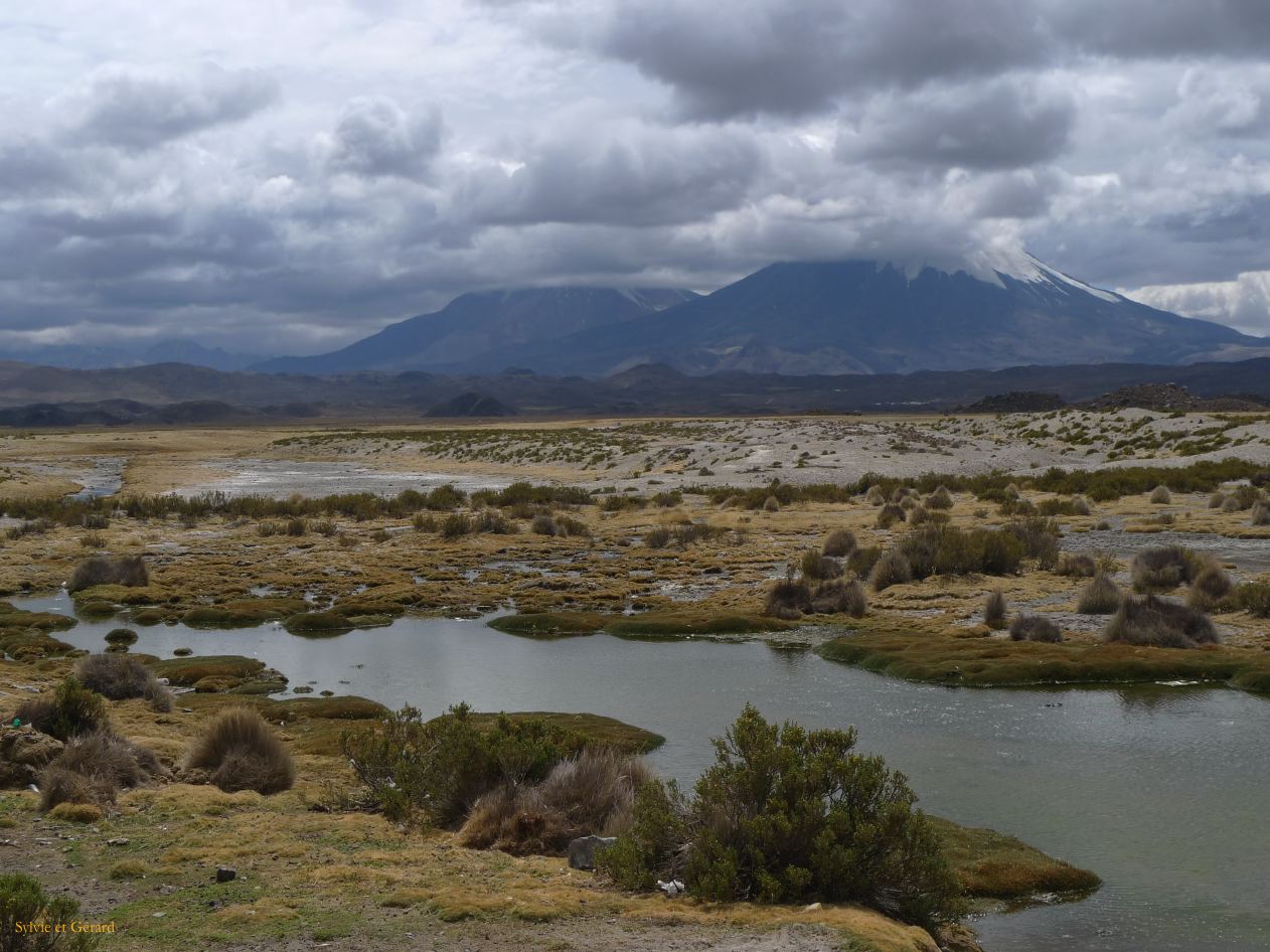 Chili Arica Parc Lauca  109