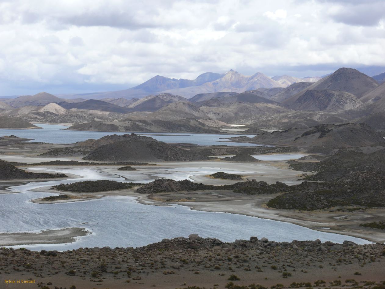 Chili Arica Parc Lauca  115