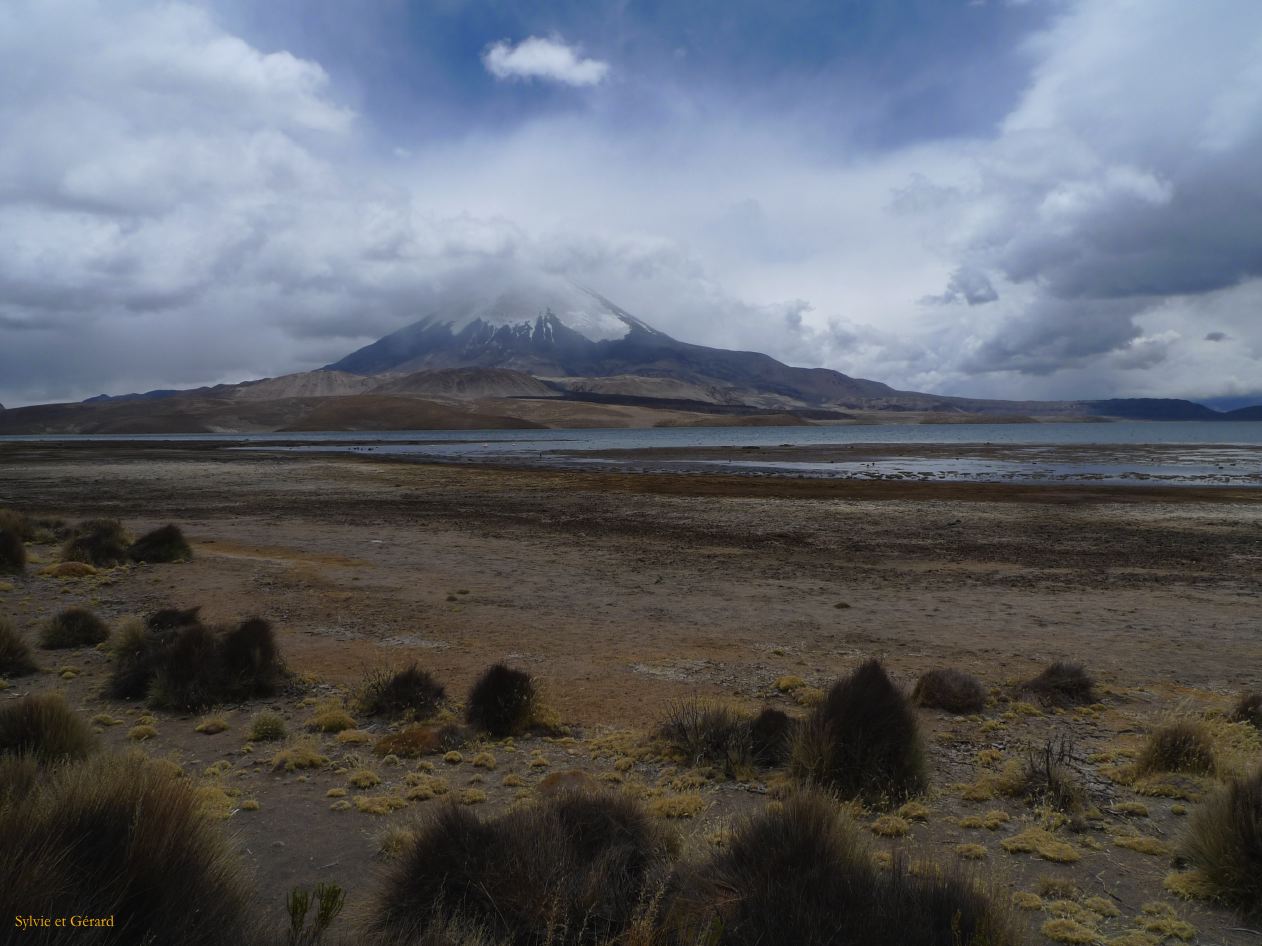 Chili Arica Parc Lauca  116