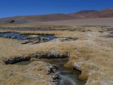 Chili Atacama San Pedro vers la frontière argentine  100