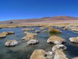 Chili Atacama San Pedro vers la frontière argentine  101