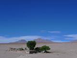 Chili Atacama San Pedro village de Toconao la quebrada de Jeres  109