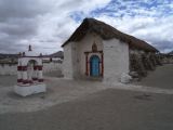 Chili Arica Parc Lauca Parinacota  100