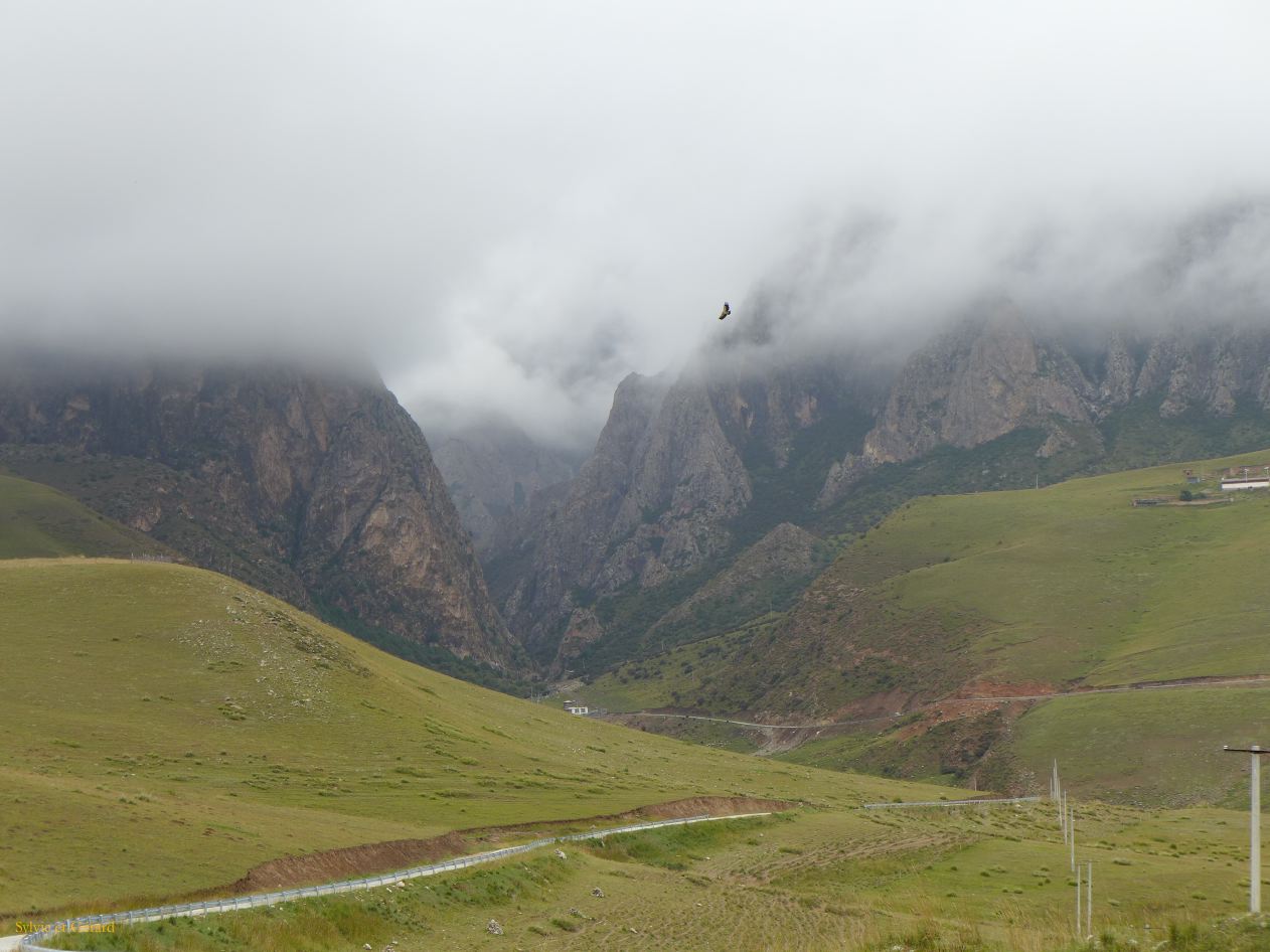 03 29 Xiahe les Prairies de Ganjia arrivée à la grotte de Nekhang au creux des montagnes