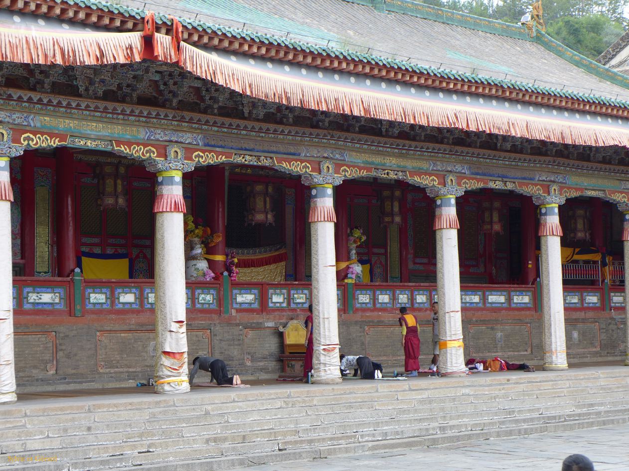 01 15 Xining monastère Ta'er si les pélerins se prosternent à plat ventre et récitent des prières 