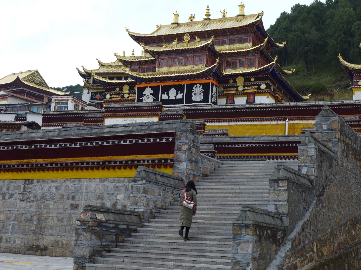 04 39 Langmusi Serti Gompa de l'autre côté de la rivière, dans la province du Gansu 