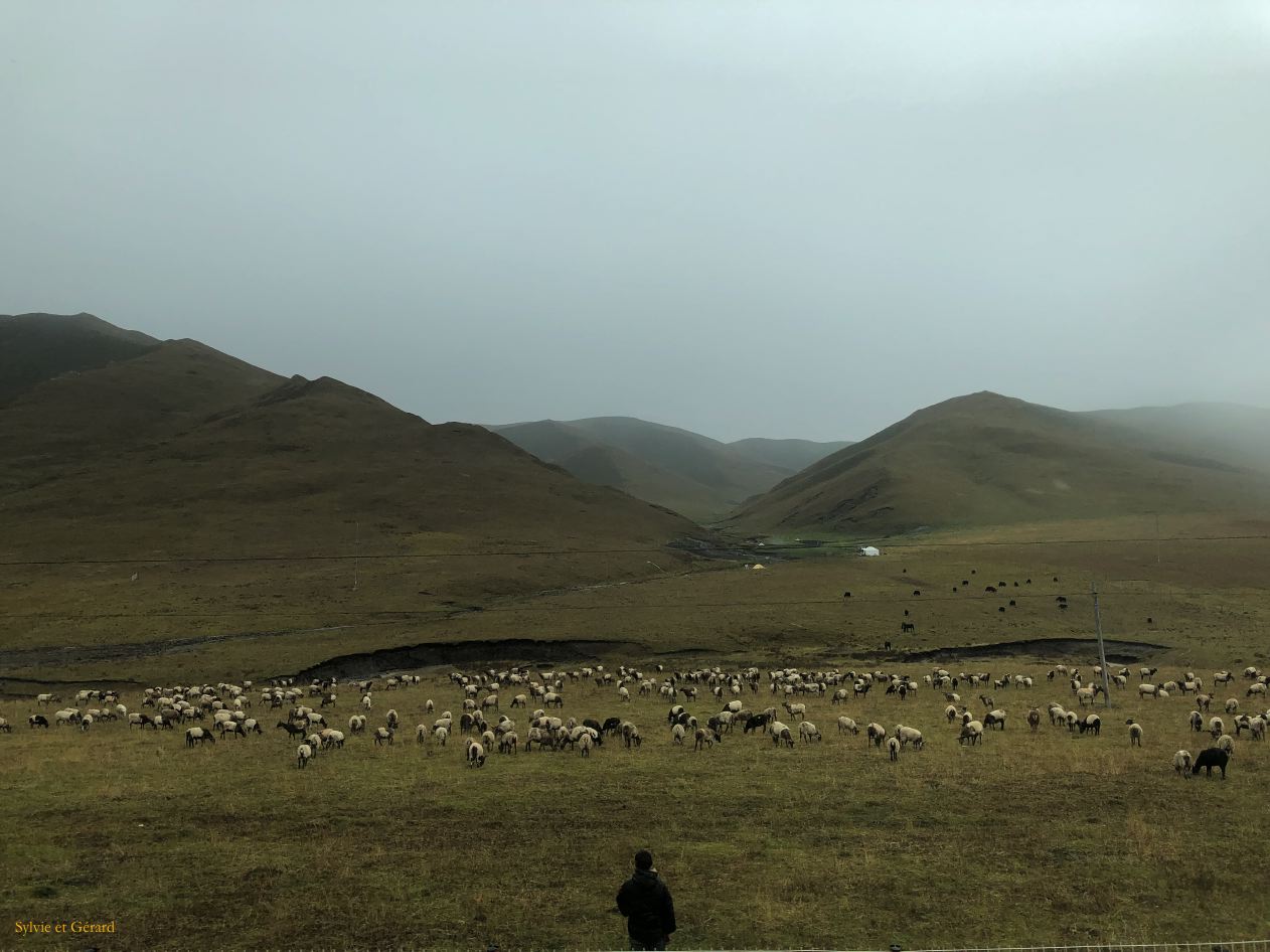 04 49 Langmusi la route dans les alentours je compte mes moutons...
