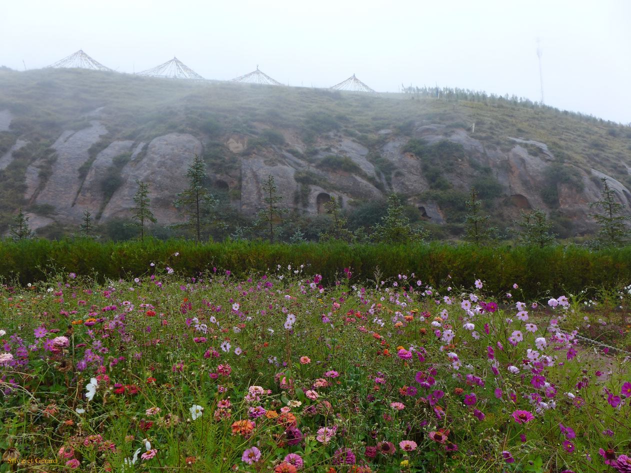 06 32 Zhangye Mati Si ou le temple du sabot de cheval pagoda forest 