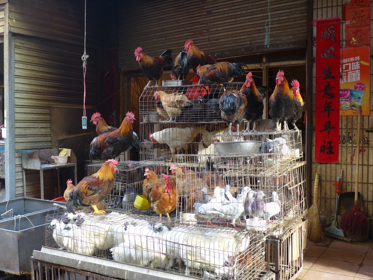 08 18 Tianshui dans la ville le marché 