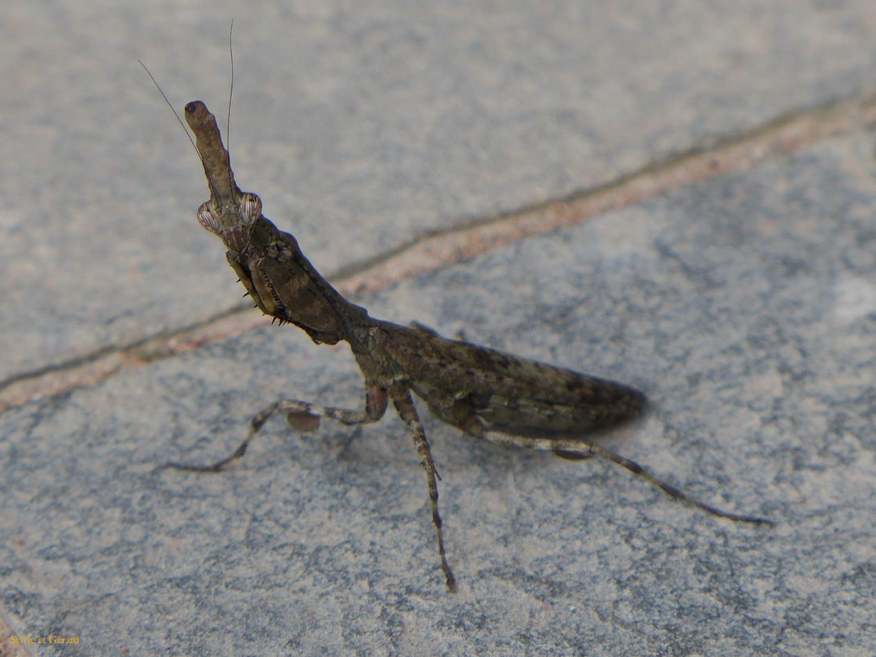 08 37 Tianshui Immortal Cliff 