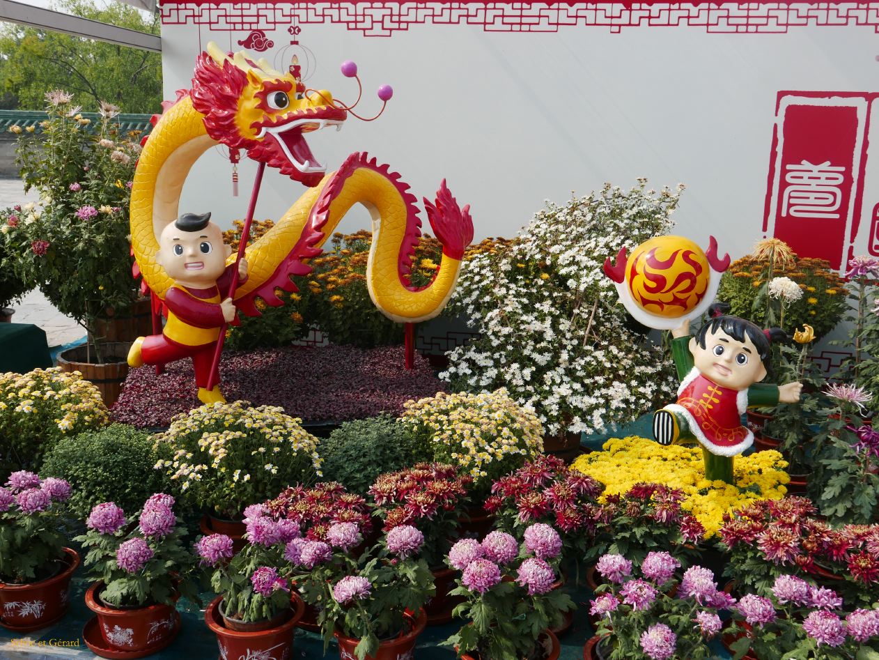 09    Pekin 0 temple du Ciel quelques chrysanthèmes 