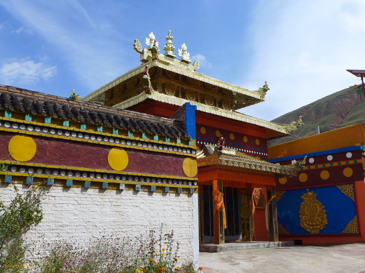 02 33 Tongren monastère Wutun haut Sangkeshan village on n'y croise que des chiens errants