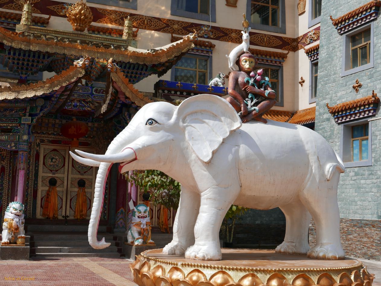 02 38 Tongren un éléphant, un singe, un lapin, un oiseau une jolie petite histoire racontée par Bouddha à ses disciples