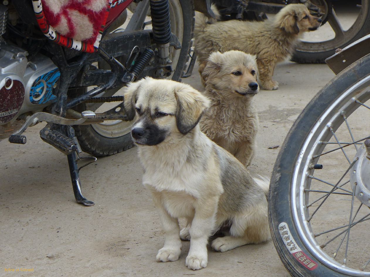 03 02 Xiahe le village de Sangke 
