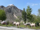 07 15 Jiayuguan la Grande Muraille les statues des caravanes sur la route de la soie   