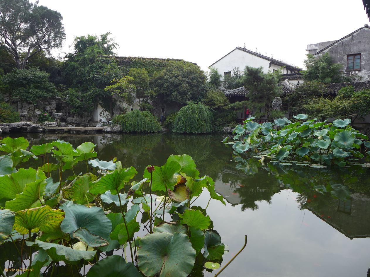 Suzhou 39 Jardin de la culture