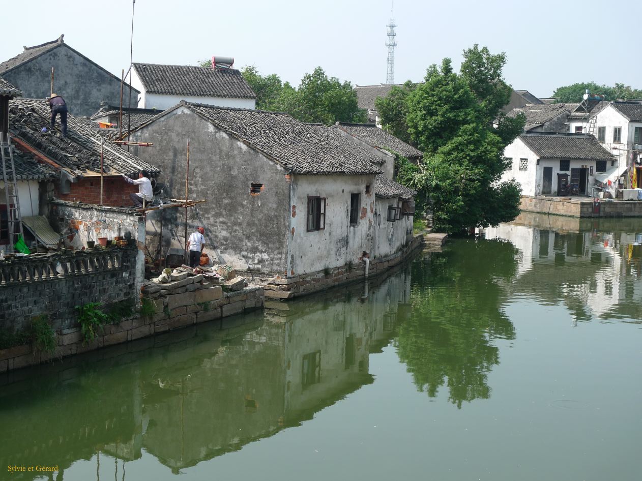Tongli 03