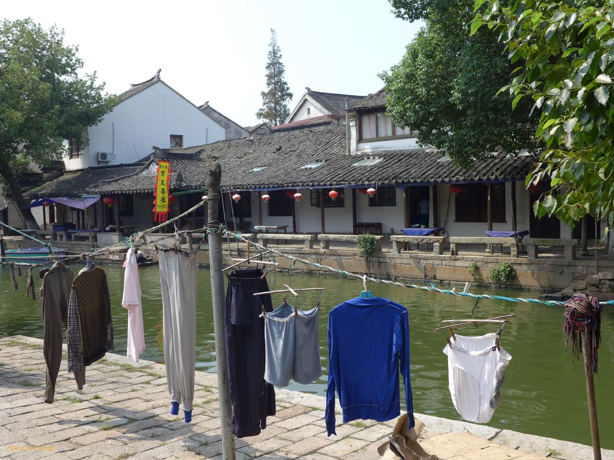Tongli 10
