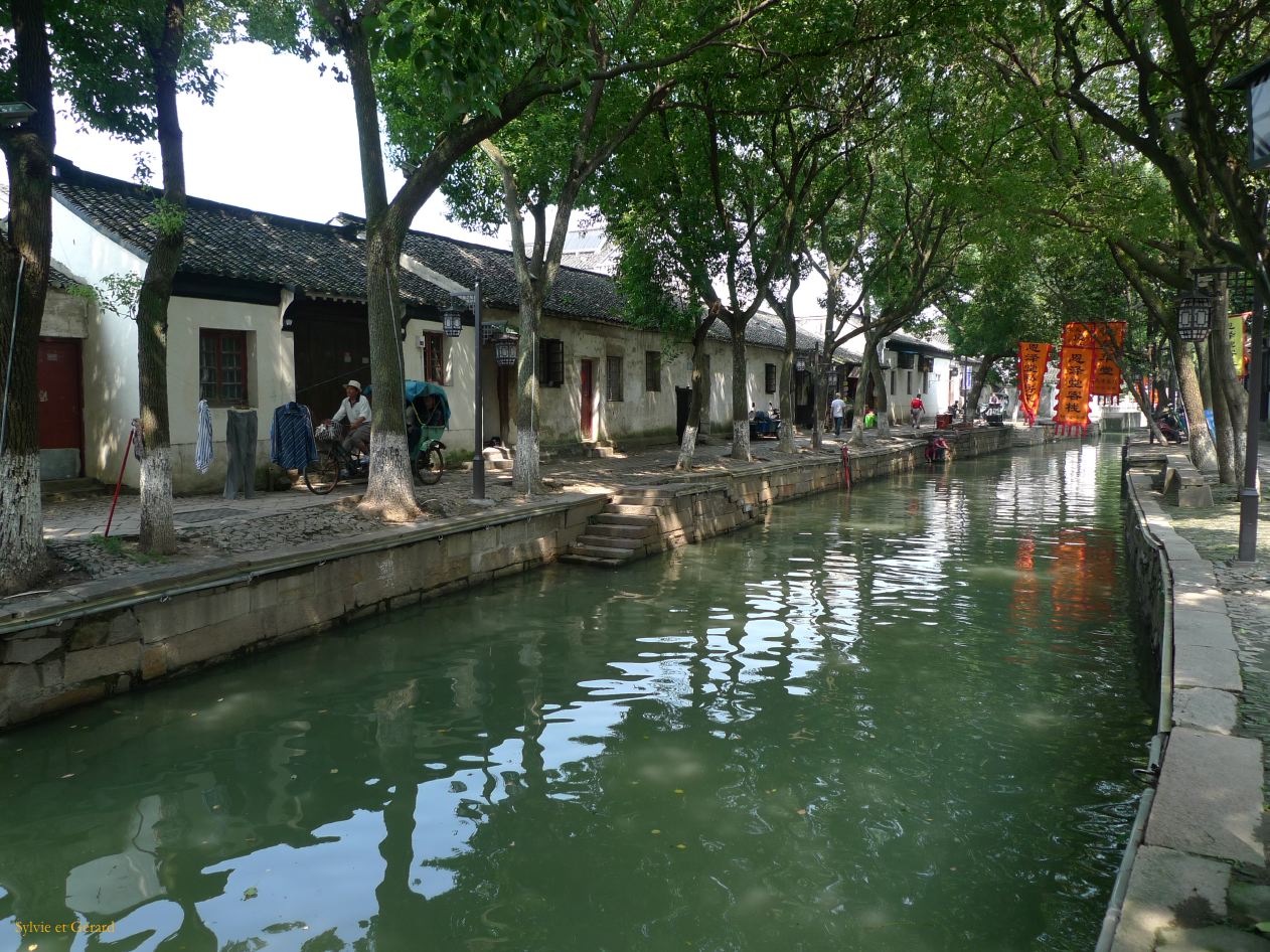 Tongli 12