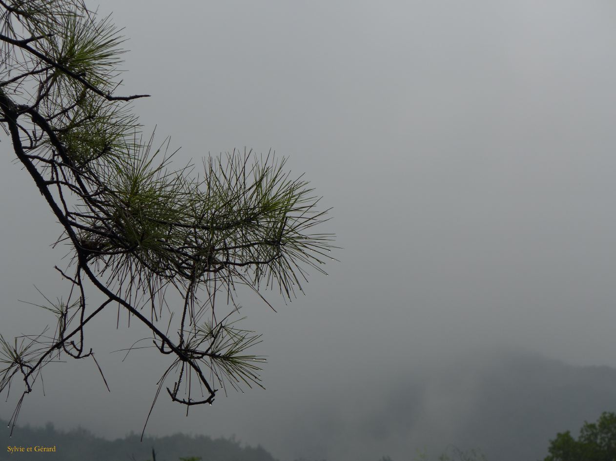 vers Hangzhou 33 parc Felaifeng et temple Lingyinsi 