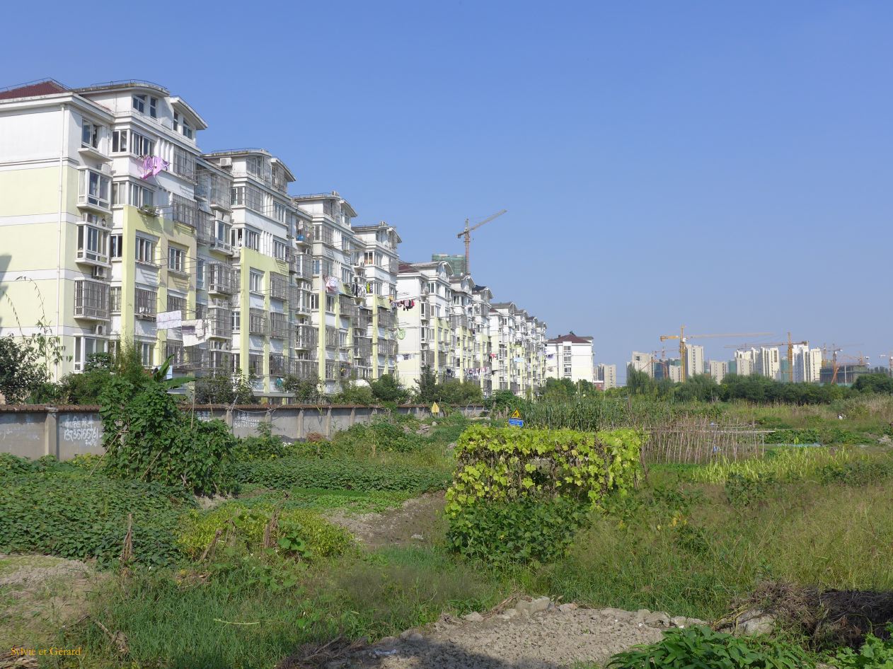 Shanghai 60 Nanxiang à coté de la vieille ville des barres d'immeubles