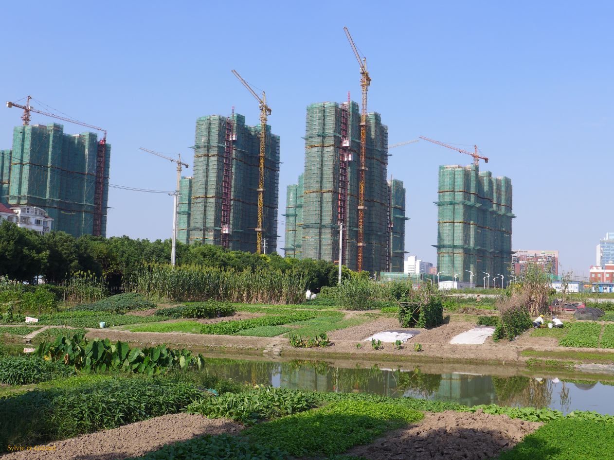 Shanghai 61 Nanxiang les petits jardins 