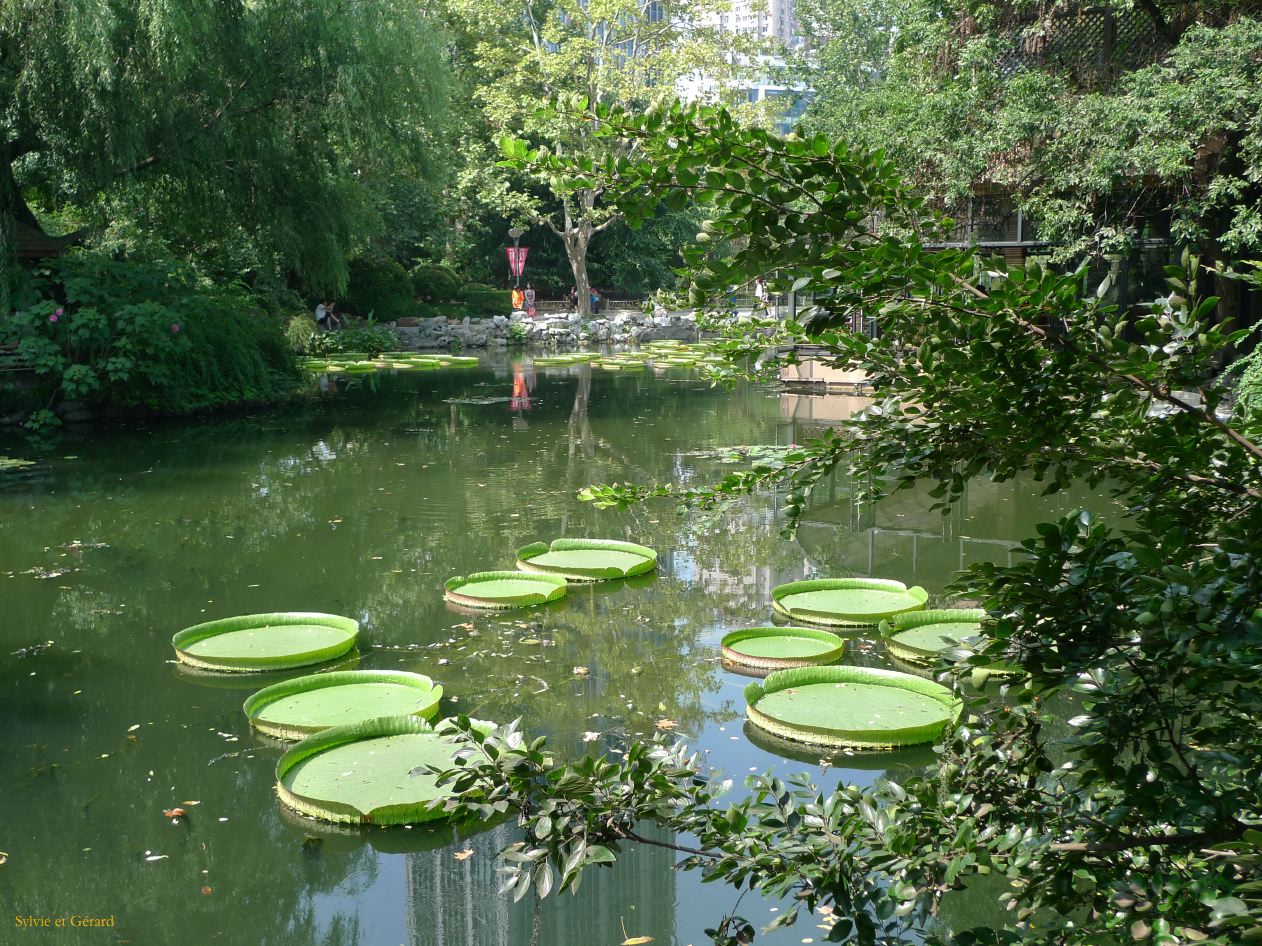 Shanghai 64 People square 