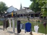 Tongli 10