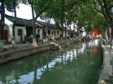 Tongli 12