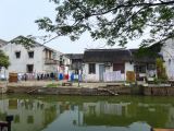 Tongli 16