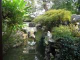 Shanghai 42 jardin Zu 