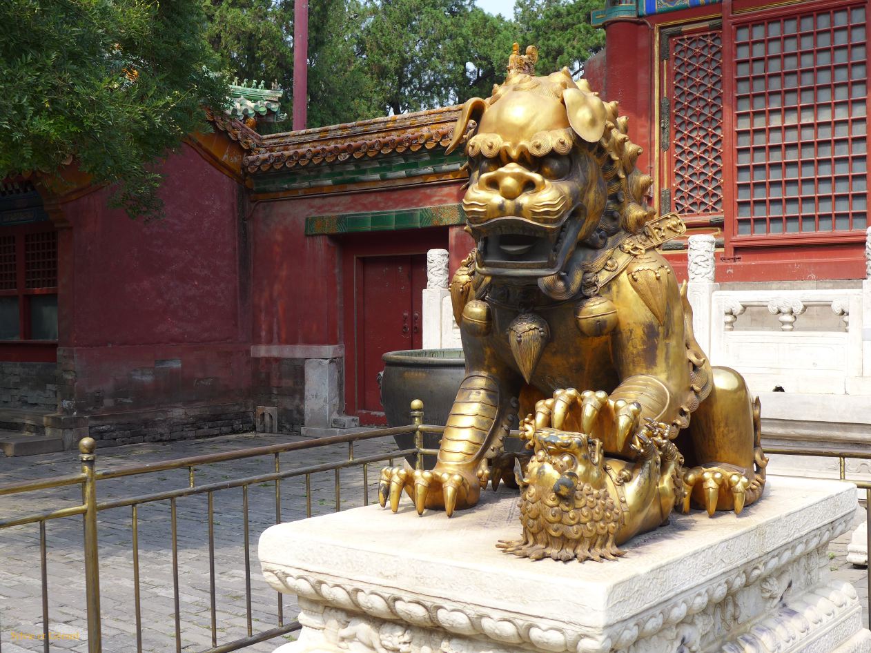 à Pekin Cité Interdite 18 lionne protégeant son petit