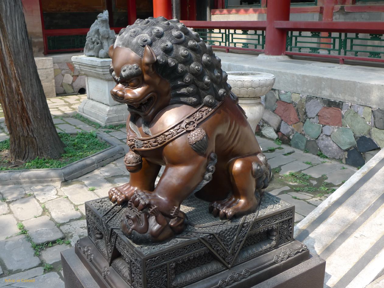 à Pekin Cité Interdite 23 jardin impérial lionne protégeant son petit