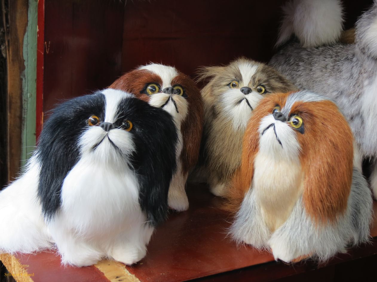 111 Lijiang La Vieille Ville pékinois