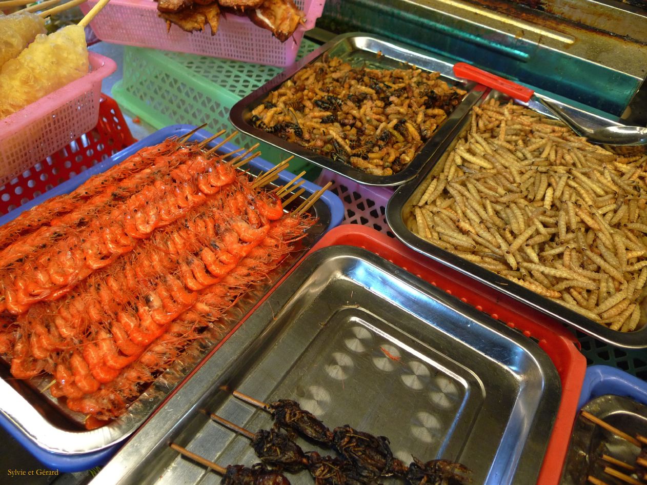 114 Lijiang La Vieille Ville crevettes larves cafards...