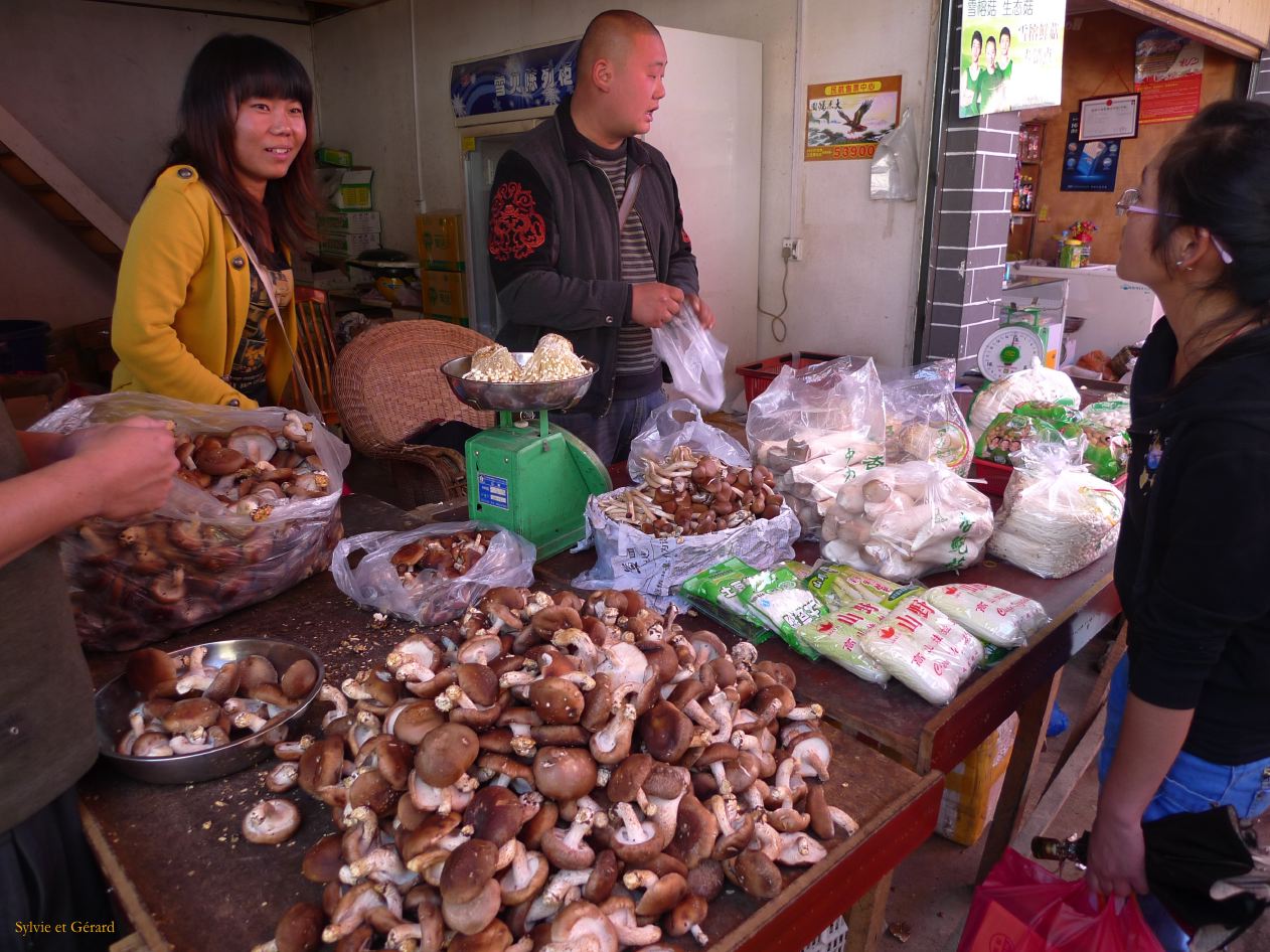 151 Lijiang La Vieille Ville le marché