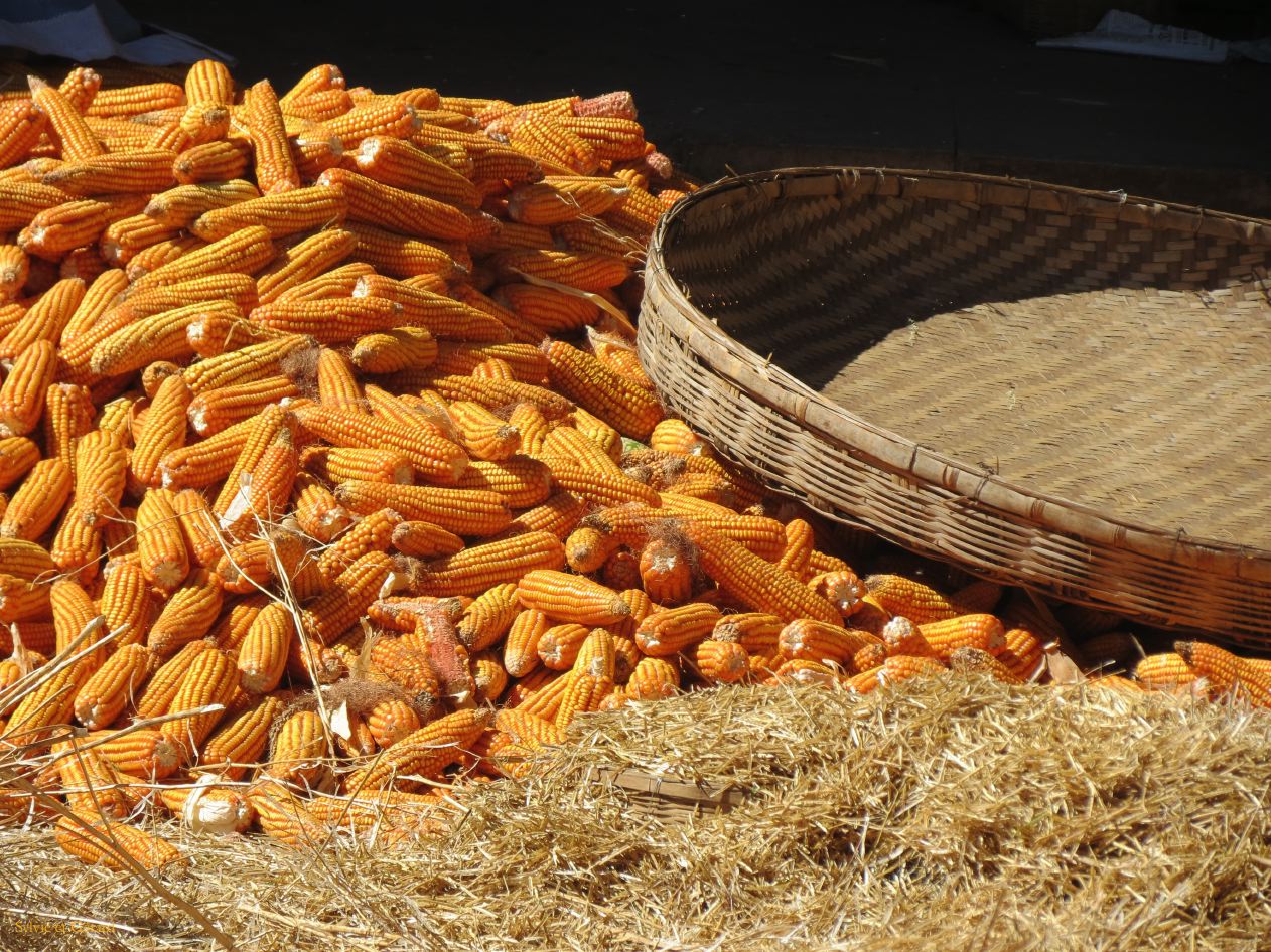 159 Lijiang village Yuhu