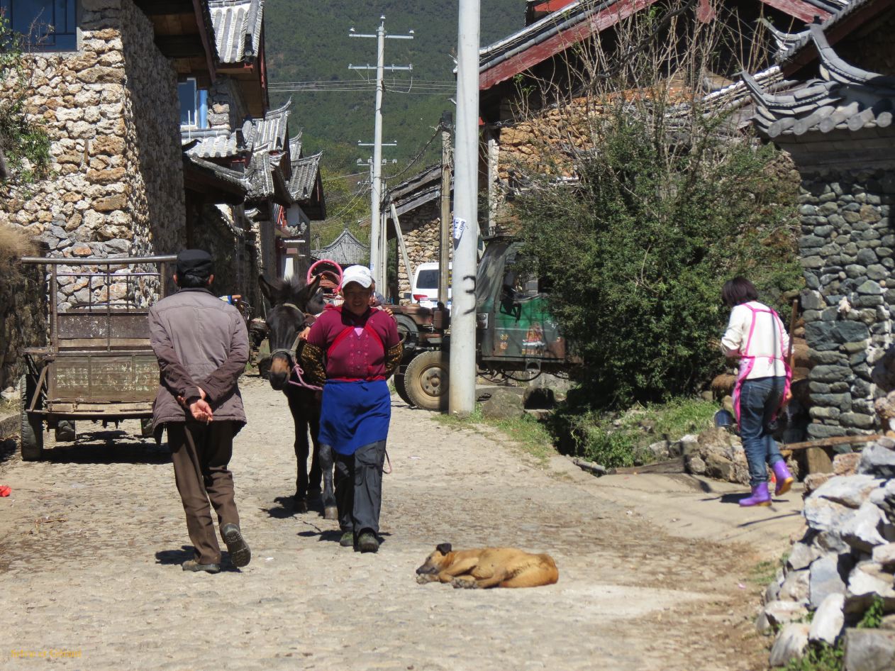 161 Lijiang village Yuhu