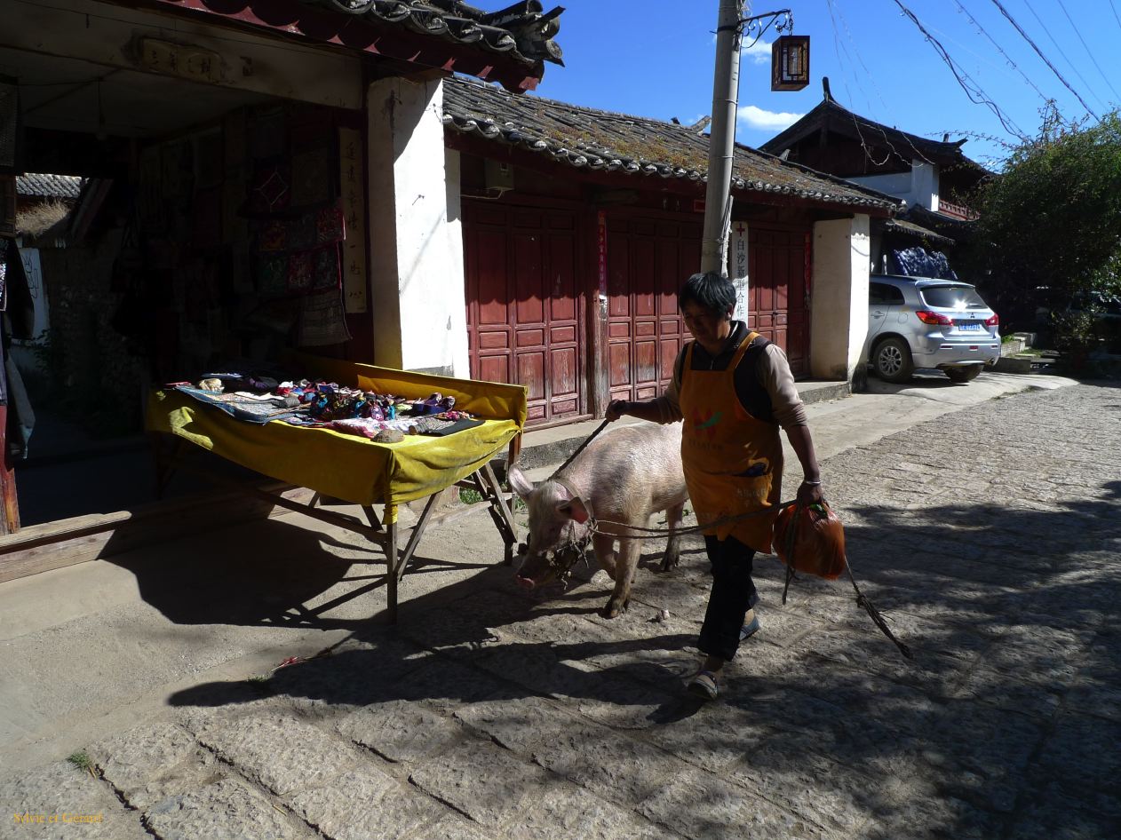 165 Lijiang village Baisha