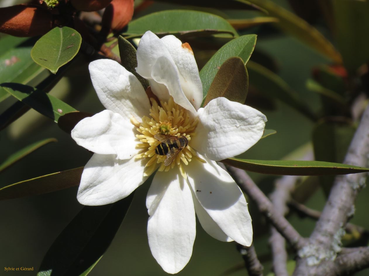 194 Lijiang monastère tibétain Yufeng Si