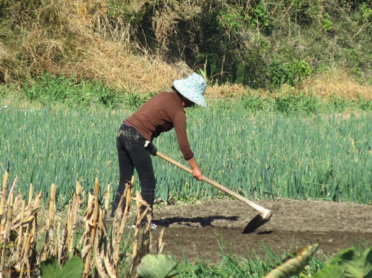 249 Dali en direction du port de Cai Cun