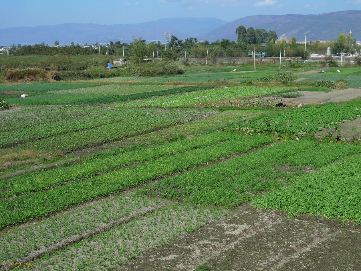 251 en direction du port de Cai Cun