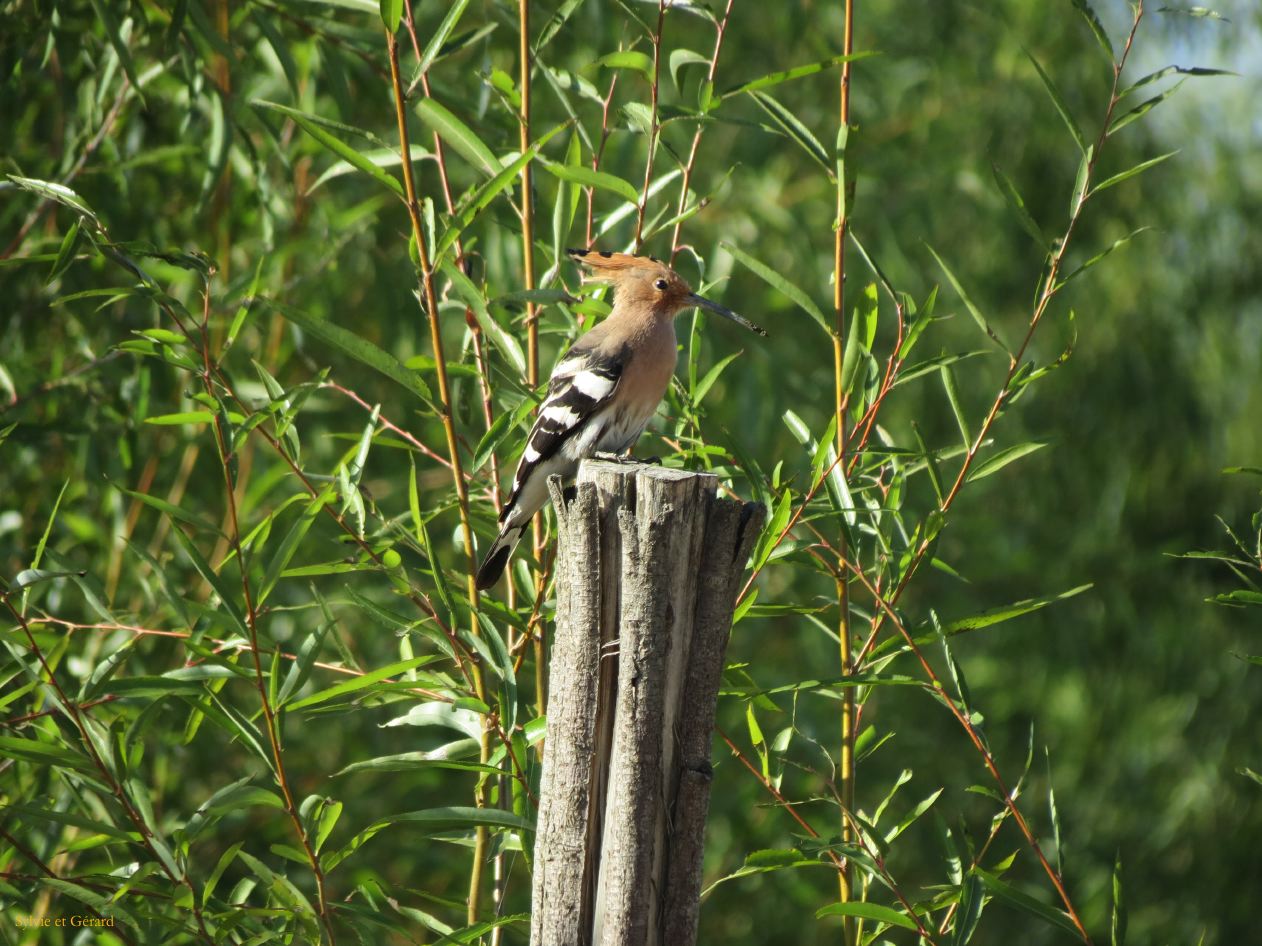 255 en direction du port de Cai Cun