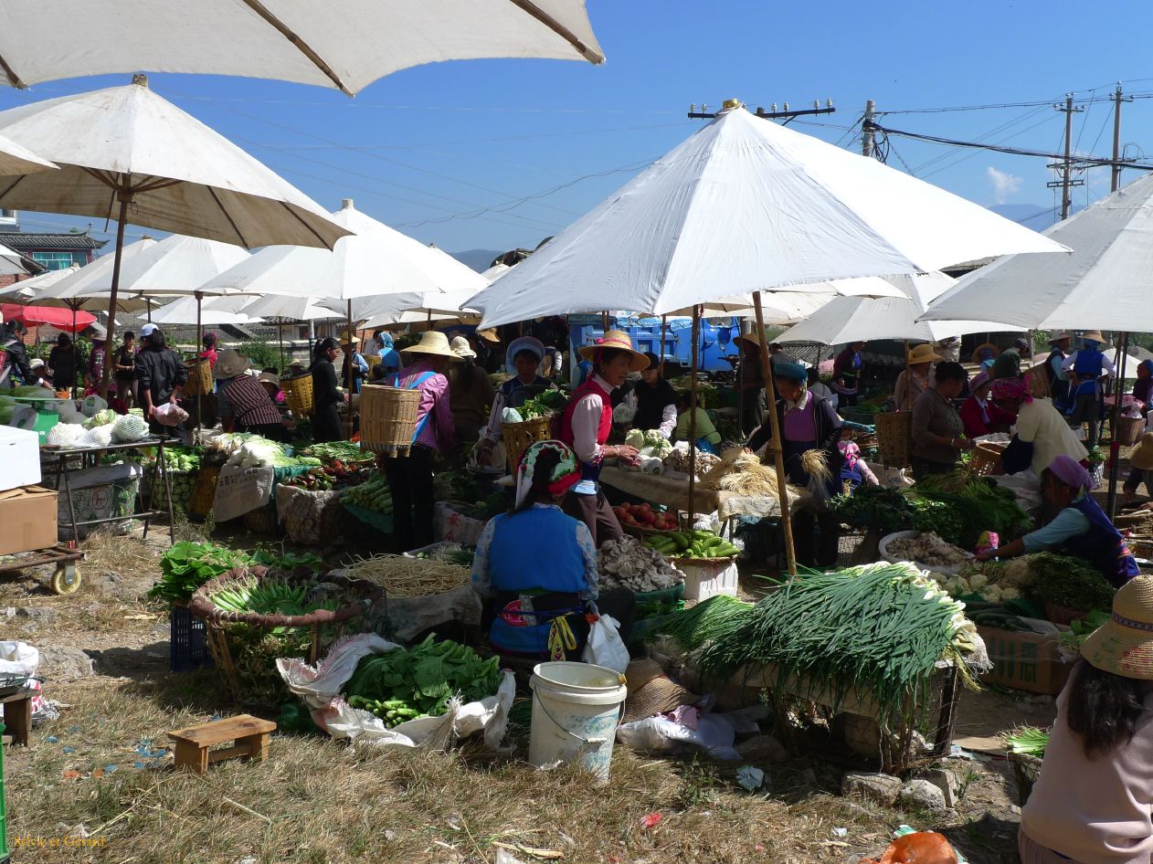 280 Dali marché de Shaping