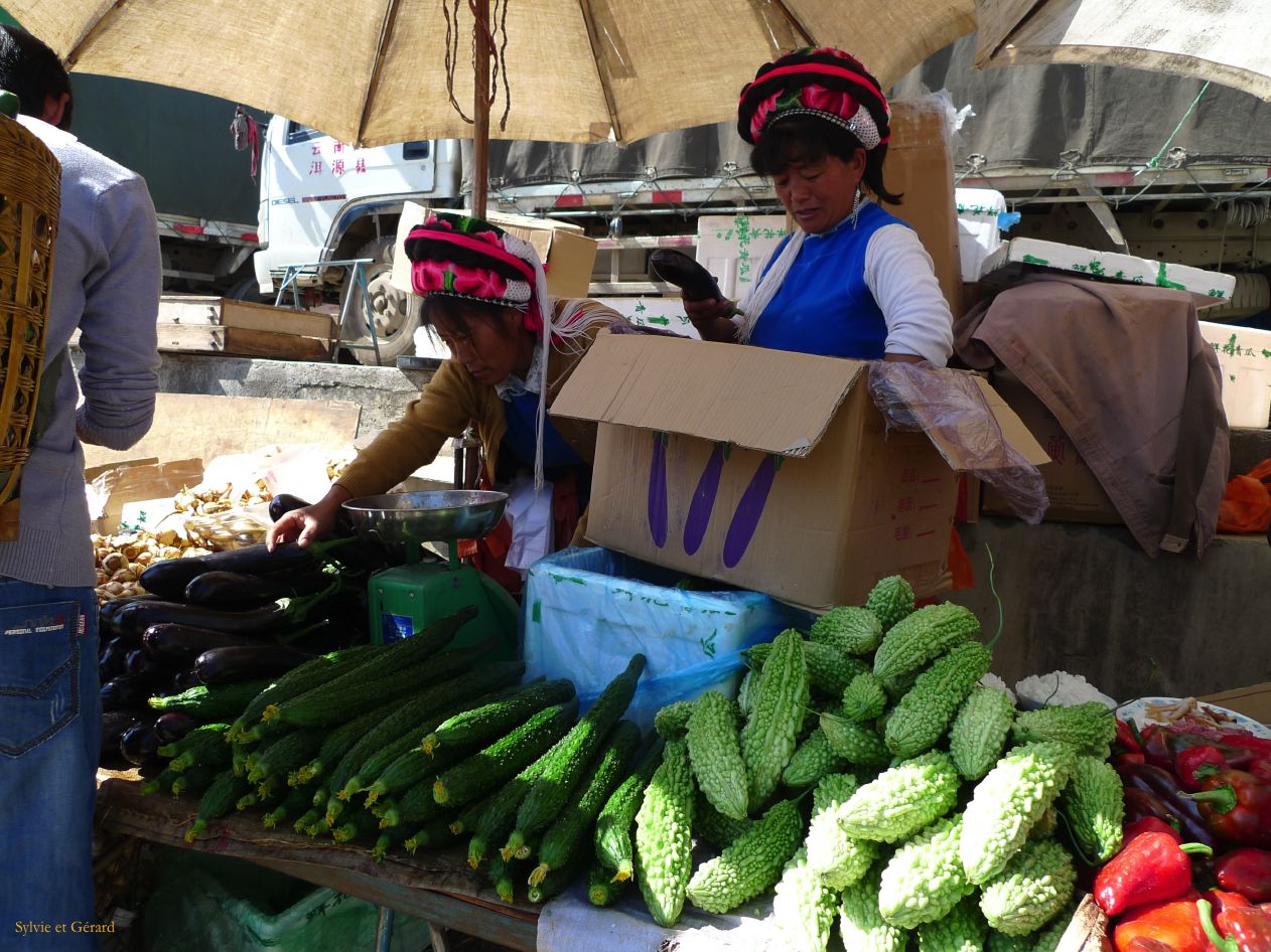 300 Dali marché de Shaping
