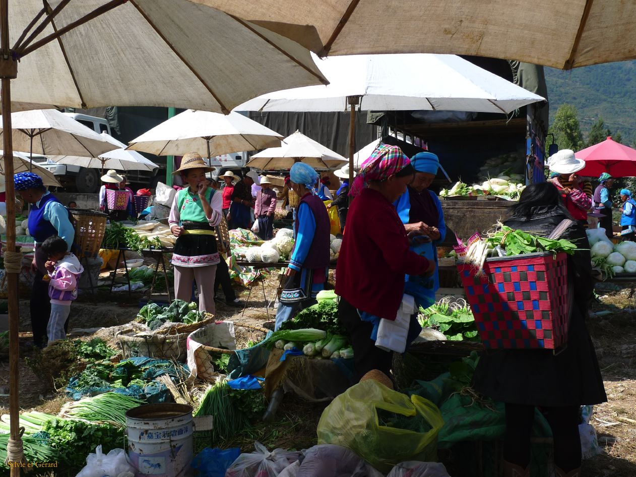 301 Dali marché de Shaping